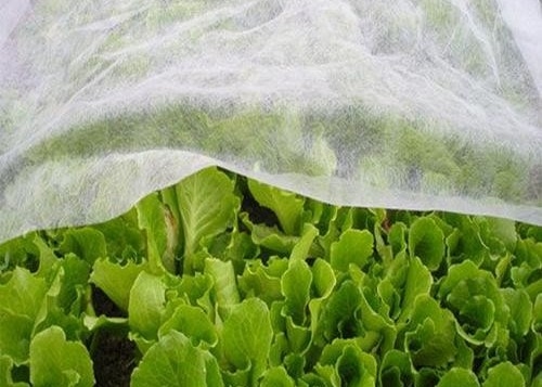 kaufen Haltbares, hydrophiles, nicht gewebtes PP gegen Insekten, Wärme-Lichtübertragung für Landwirtschaft online manufacture
