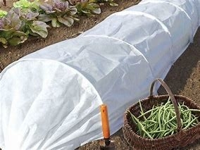 kaufen Landwirtschaft Weed Barrier Stoff zur Temperaturkontrolle Stoff zur Schädlingsbekämpfung für Großhändler online manufacture