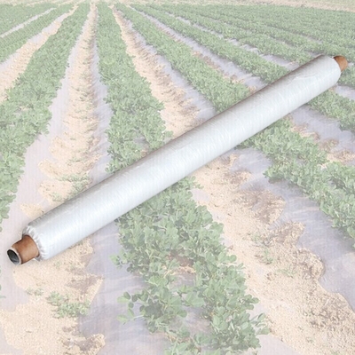 kaufen Landwirtschaftliche Gewebe, SMS, PP, PET, Anti-Kälte Anti-UV Anti-Alterung online manufacture
