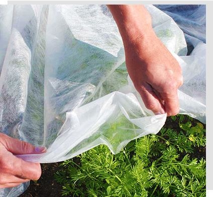 kaufen 6400mm Unkrautvlies für die Landwirtschaft, 60 g/m² online manufacture
