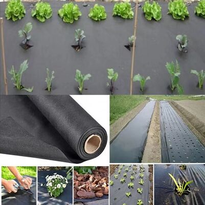 kaufen Vegetable Agriculture Nonwoven Fabric Anti - frost Fruit Bag Winter Protect Use Nonwoven online manufacture