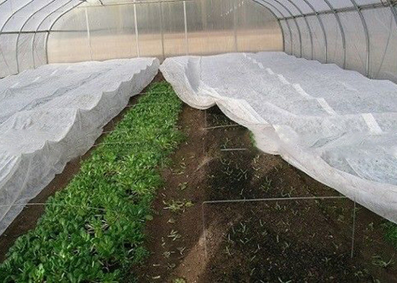 kaufen Das Landschaftsunkrautbekämpfungs-nicht Gewebe pp., das für Hauptgärten materiell ist, geben die Gartenarbeit frei online manufacture