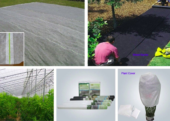 kaufen Landwirtschafts-nicht gesponnene Polypropylen-Gewebe alternde SGS-Antibescheinigung online manufacture