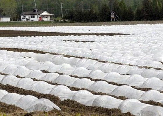 kaufen Freundliches Landwirtschafts-nicht Gewebe Eco mit 1% - 4% UV-BEHANDELTem Soem/ODM verfügbar online manufacture