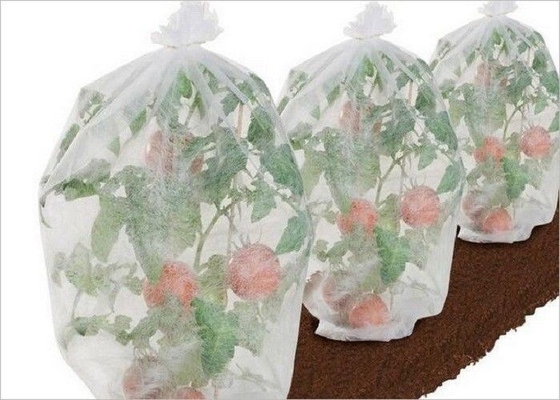 kaufen Freundliches Gewebe Eco Landwirtschafts-pp. nicht 1% - 4% UV-BEHANDELTes Soem-ODM online manufacture