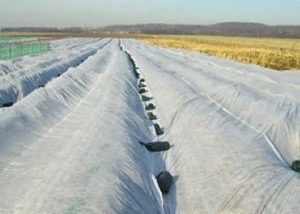 kaufen Breathable hydrophobes pp. Gewebes-Antistatisches nicht für die Landwirtschaft online manufacture