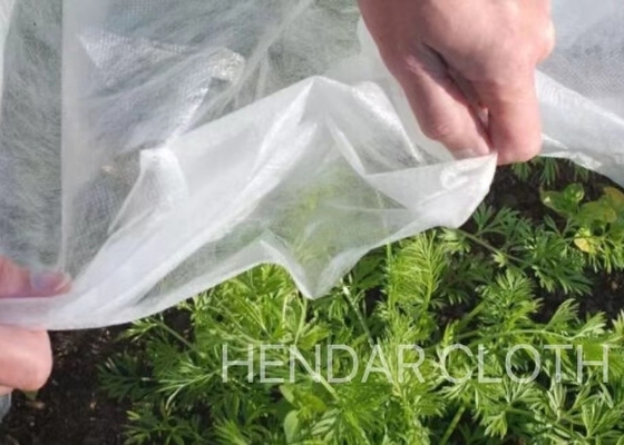 kaufen Frucht, die nichtgewebtes Gewebe 3200mm des Stoff-pp. Spunbond besonders angefertigt für die Landwirtschaft einwickelt online manufacture