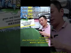 Zweifarbige Gewebe aus nicht gewebtem Material, grün und schwarz, zur Unkrautbekämpfung und Lichtreflexion