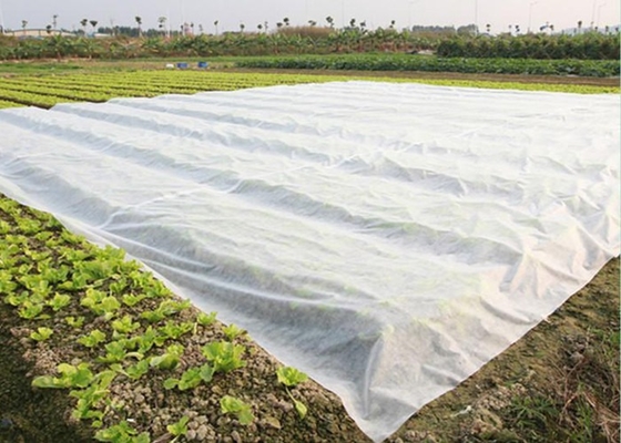 Farbe und Größe: PP-Spunbond-Nichtgewebe für landwirtschaftliche Anwendungen