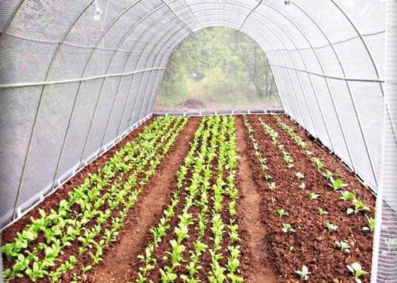 Hydrophobische/hydrophilische/nassebleibende Vliesstoffe für die Landwirtschaft
