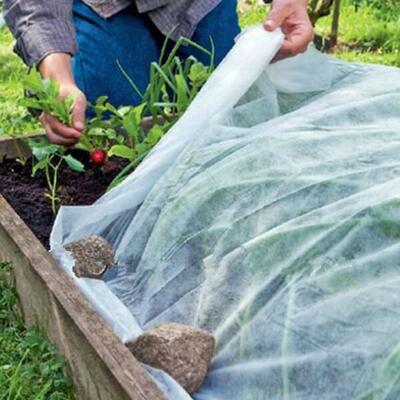 Cultivated Bag PP Agricutural Nonwoven Anti - Cold Anti - Frost Nonwoven Direct Supply