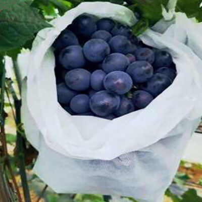 Trauben-Bananen-Agrar-Vliesstoff-Fruchthüllen, atmungsaktiv, zum Verpacken von Taschen